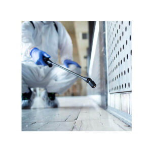 SPH Servicios